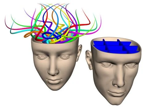 Difference between brain of woman and man 库存插图