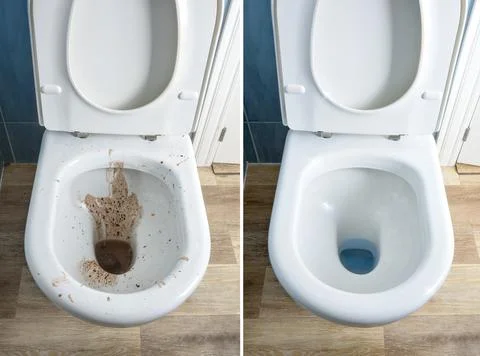 Difference between clean and dirty toilet bowl in a bathroom Foto stock