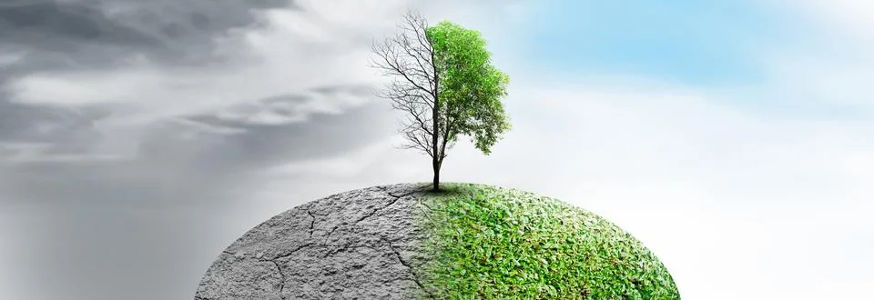 The difference between drought trees to growing trees on the ground with di.. 写真素材