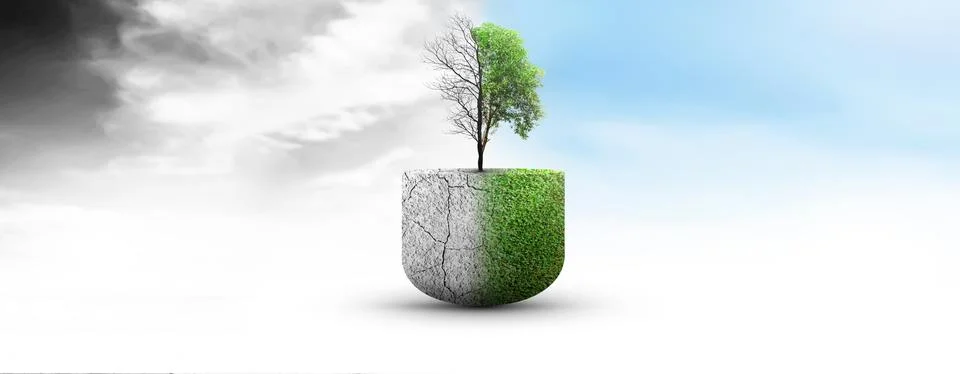 The difference between drought trees to growing trees on the ground with di.. 写真素材