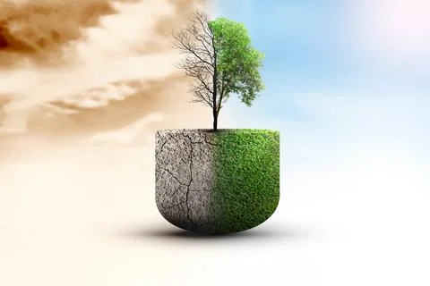 The difference between drought trees to growing trees on the ground with di.. 写真素材