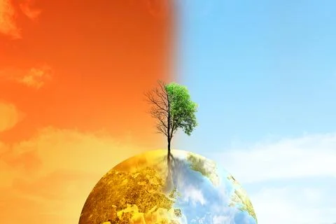 The difference between drought trees to growing trees on the ground with di.. 写真素材