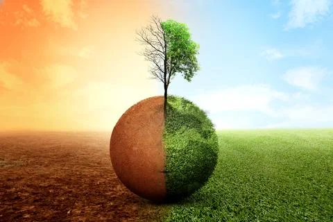 The difference between drought trees to growing trees on the ground with di.. 写真素材