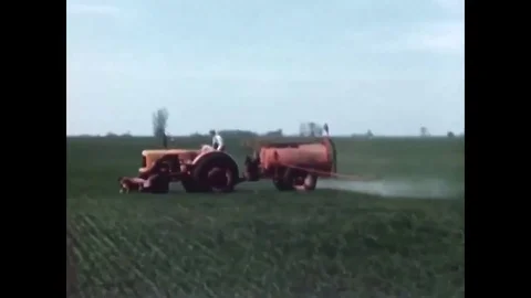 The difference between a field of crops treated with Dow Chemical weed killer Stock Footage 79427869