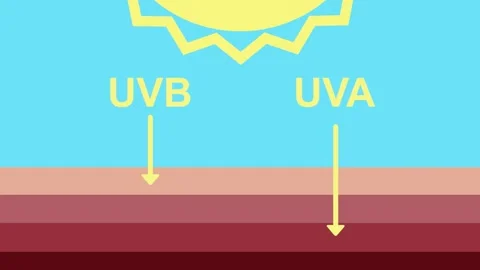 Difference between impact of UVB and UVA sun rays on skin in diagram Stock Footage 314478740