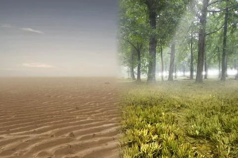 The difference from drought ground on the field and sunny weather in the fore Stock Photos