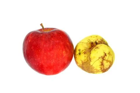Difference Stock Photos
