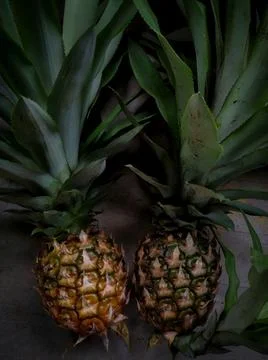 Difference in ripe fruit and raw fruit Stock Photos