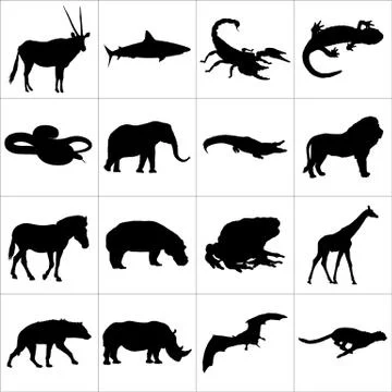 Different african animals Stock Illustration