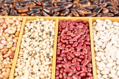 Different beans Stock Photos