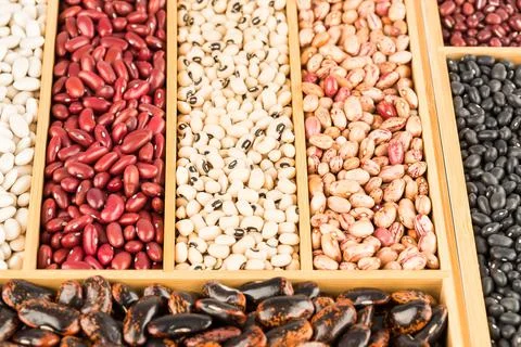 Different beans Stock Photos