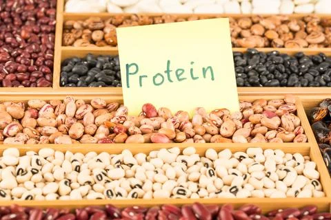 Different beans Stock Photos