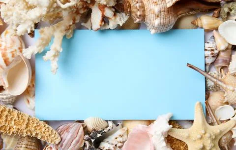 Different beautiful sea shells and blank card, flat lay. Space for text Stockfoto's