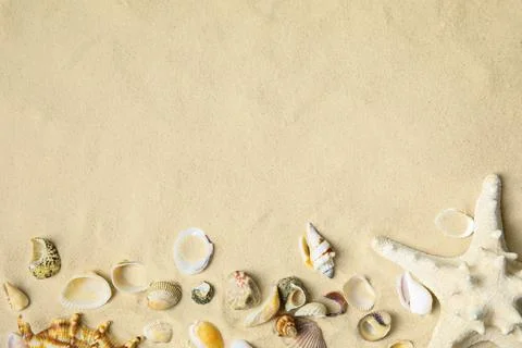 Different beautiful sea shells and starfish on sand, flat lay. Space for text Foto stock