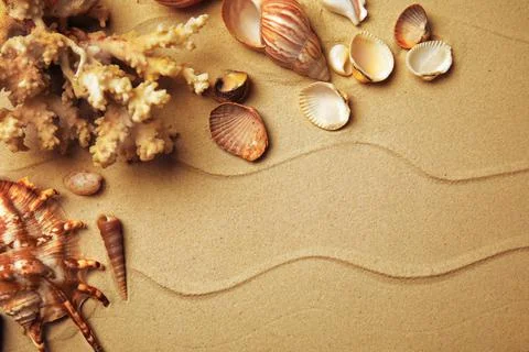 Different beautiful sea shells on sand, flat lay. Space for text Foto stock