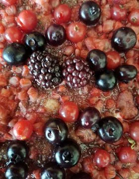 Different berries background. Фото