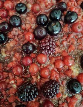 Different berries background. Фото