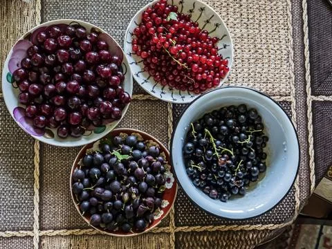Different berries in plates on the table Stock Photos