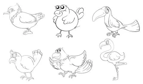 Different birds in doodle design Stock Illustration