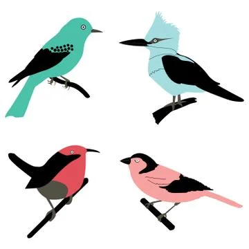 Different birds Stock Illustration