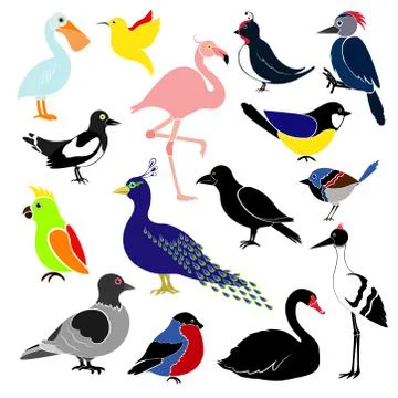 Different birds isolated on white background. イラスト素材