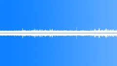 Different Birds Singing by the Busy RiverSound Effect