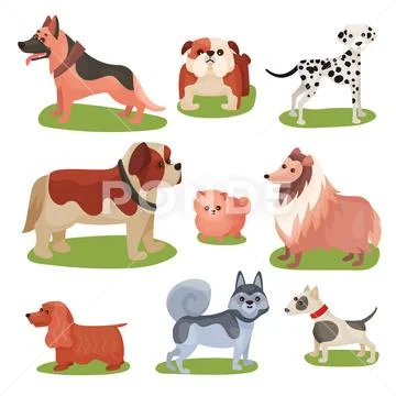 Different breeds of dog set, purebred pets animal colorful vector Illustrations Stock Illustration
