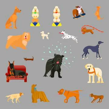 Different breeds of dogs Stock Illustration