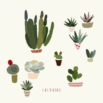Different cacti and succulents in pots vector illustration on a white backgro Stock Illustration