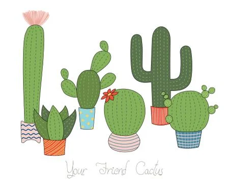 Different cacti collection Stock Illustration