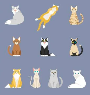 Different cartoon cats set. Stock Illustration