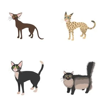 Different cat breeds illustrations showing common domestic felines Stock Illustration