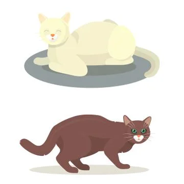 Different cat cute kitty pet cartoon cute animal cattish character set catlike Stock Illustration