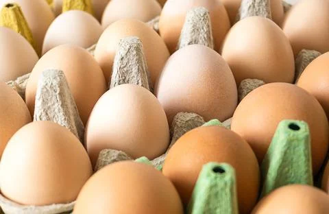 Different categories of eggs in trays. top view. macro Stock Photos