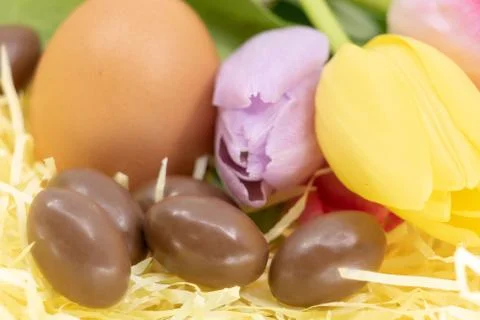 Different chicken eggs and chocolate with tulips to celebrate easter and spring Stock Photos