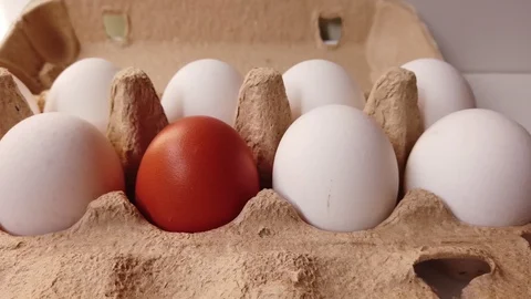 Different chicken eggs in one carton Video stock 129424719
