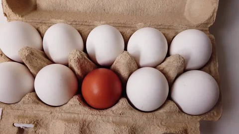 Different chicken eggs in one carton on a white table Video stock 129427670