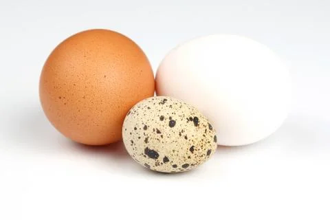 Different chicken eggs on a white background Stock Photos