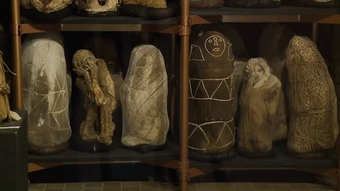 Different collections in focus Stock Footage 110178751