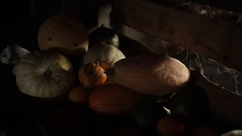 Different color and size of pumpkins in a dark barn on a wooden shelf Stock Footage 126961487