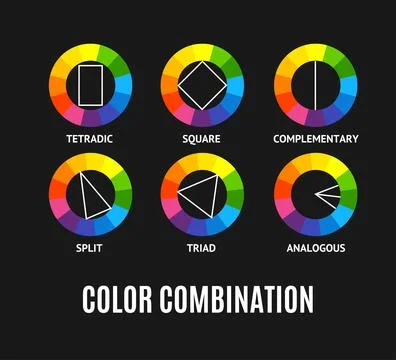 Different Color Circle Palette Combinations Set. Vector Stock-Illustration
