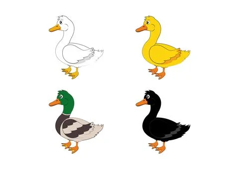 Different color ducks. Vector duck Stock Illustration