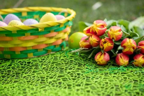 Different color Easter egg on a grass with flowers Stock Photos