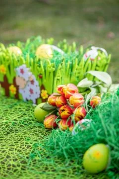 Different color Easter egg on a grass with flowers Foto stock