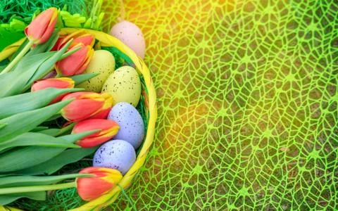 Different color Easter egg on a grass with flowers Stock Photos