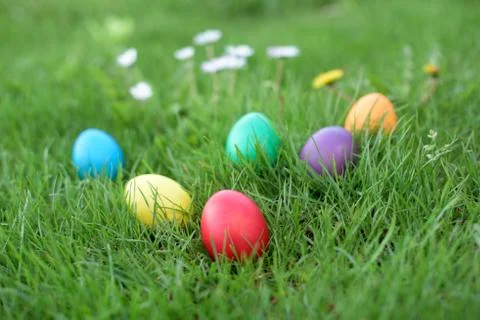 Different color Easter eggs in a grass Stock Photos
