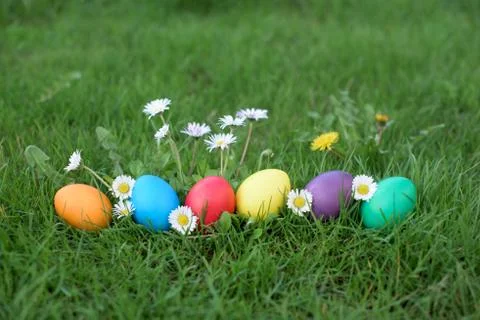 Different color Easter eggs Foto stock