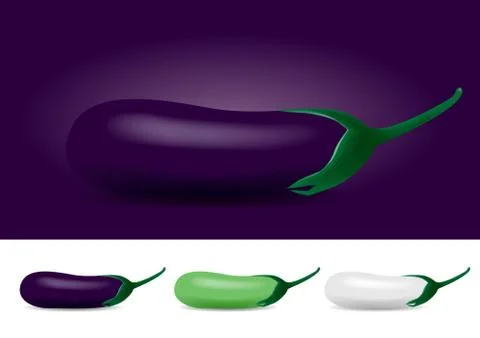 Different Colored Eggplant - Vector Illustration Stock Illustration