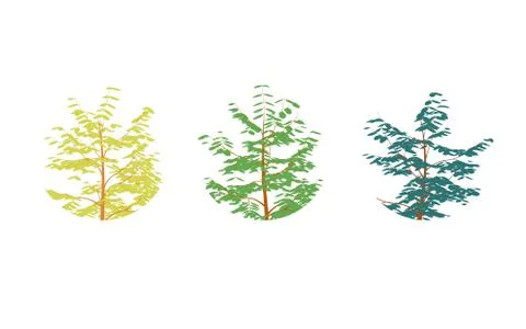 Different colored trees in flat design.Set isolated on white Stock Illustration