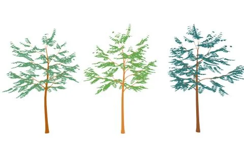 Different colored trees in flat design.Set isolated on white Illustration